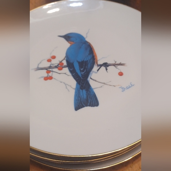 Bird Plate Set - Picture 5 of 5